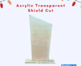 Acrylic Transparent Shield Cut – Durable Clear Shield for Decor & Display