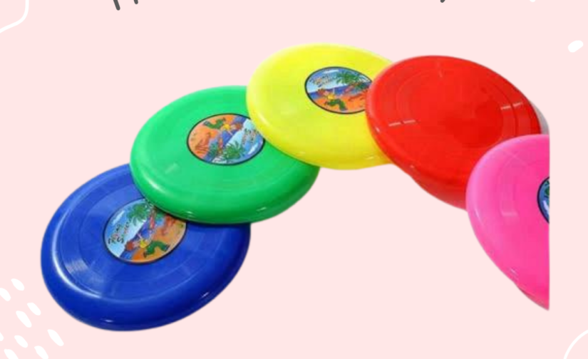 Frisbee Flying Disc 9’’ | Ultimate Outdoor Fun & Recreation Disc