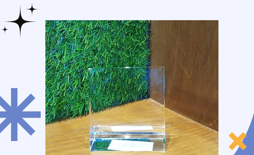 Glass Table Shield – Clear Protective Glass Shield for Desk, Table, and Countertop Protection