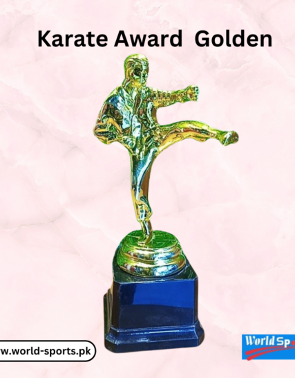 Karate Award Golden – Premium Trophy for Martial Arts Excellence