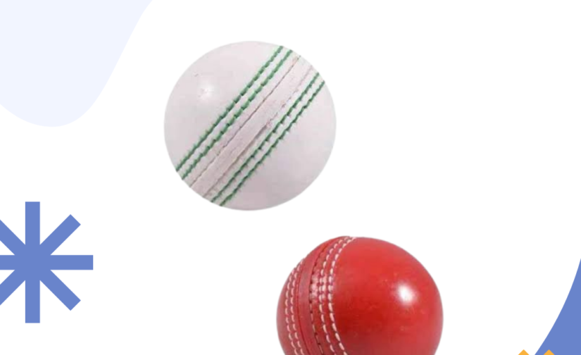 Pack of 2 Practice Soft Cricket Balls – Lightweight & Safe Training Balls for Cricket Practice
