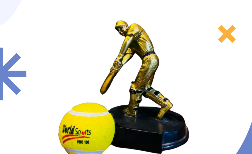 Pack of 5 WS Pro 100 Cricket Tennis Balls – High-Quality Practice Balls for Cricket Training