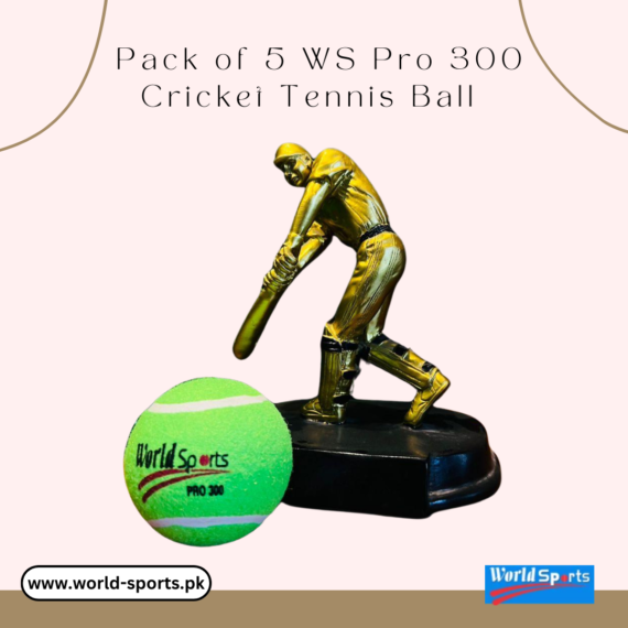 Pack of 5 WS Pro 300 Cricket Tennis Balls – Premium Training Balls for Cricket Practice & Skill Development