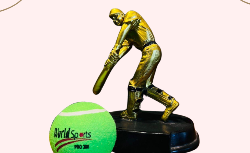 Pack of 5 WS Pro 300 Cricket Tennis Balls – Premium Training Balls for Cricket Practice & Skill Development