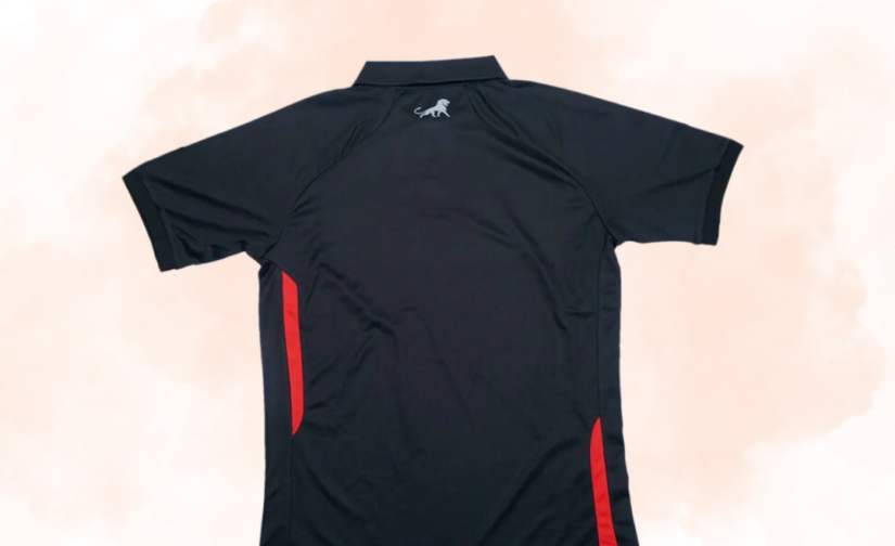Men’s Polo Mesh T-Shirt – Breathable, Quick-Dry Athletic Polo