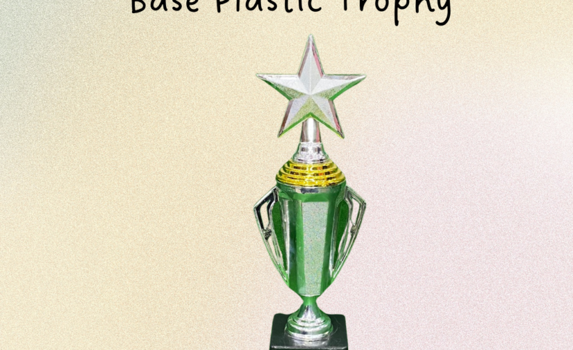 China Cup Silver with Black Base Plastic Trophy – Elegant Award for Recognition and Achievement