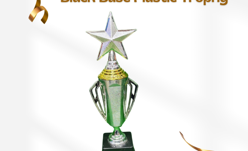 China Cup Silver with Black Base Plastic Trophy – Elegant Recognition Award for Celebrating Excellence