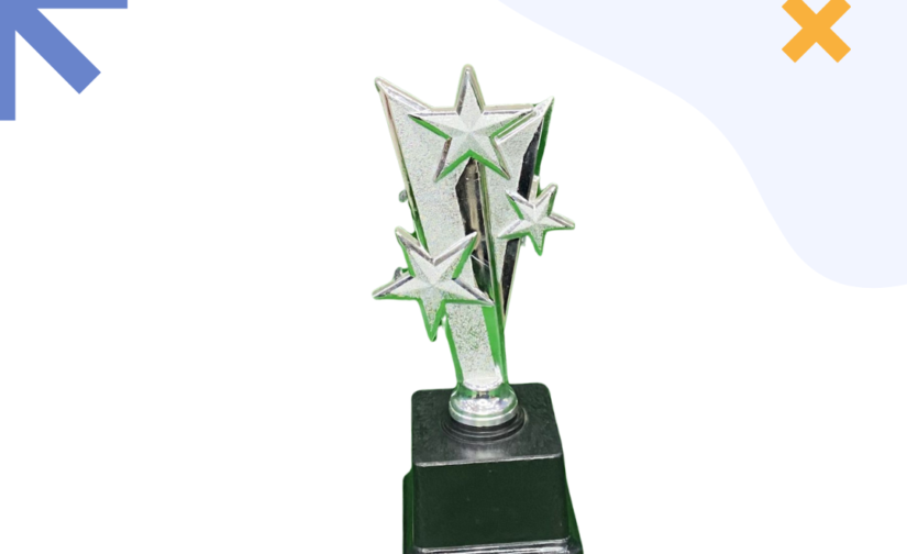 Tree Star Silver with Black Base Plastic Trophy – Elegant Achievement Award for Recognition