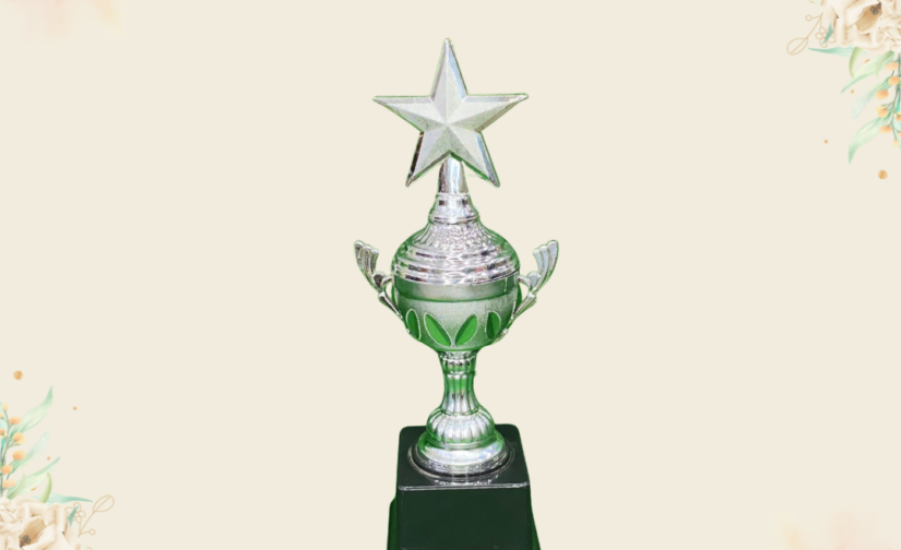 Winner Cup 11 Silver with Black Base Plastic Trophy – Premium 11-Inch Award for Celebrating Achievements