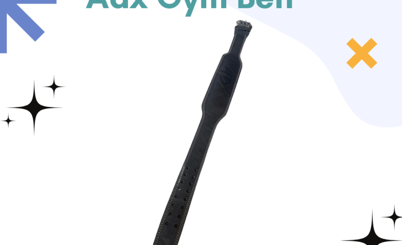 Adx Gym Belt - Premium Support for Weightlifting, Fitness Training & Core Stability
