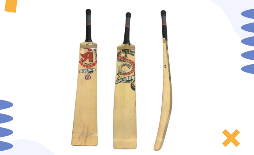 CA Dragon 913G Cricket Bat - High-Performance Bat for Power, Control, and Durability