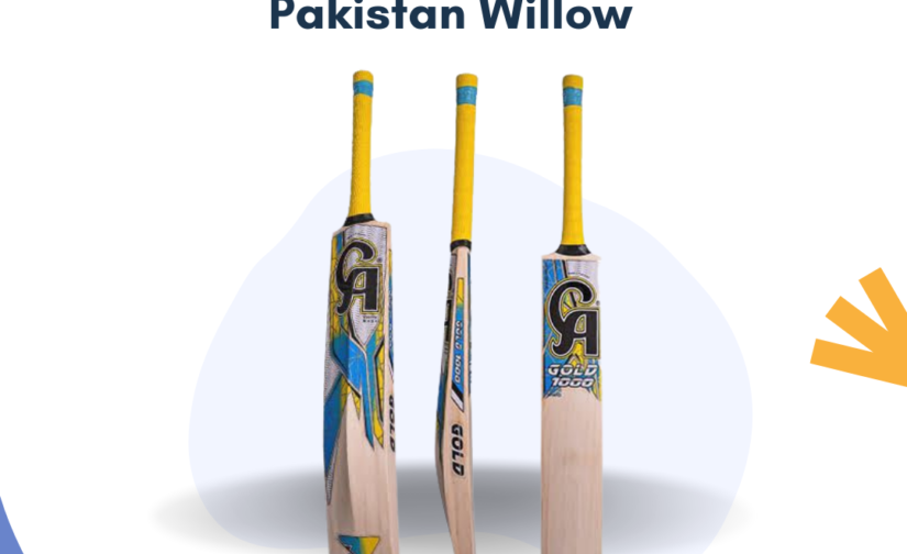 CA Gold 1000 Pakistan Willow Cricket Bat - Durable and Powerful Bat for Professional Play