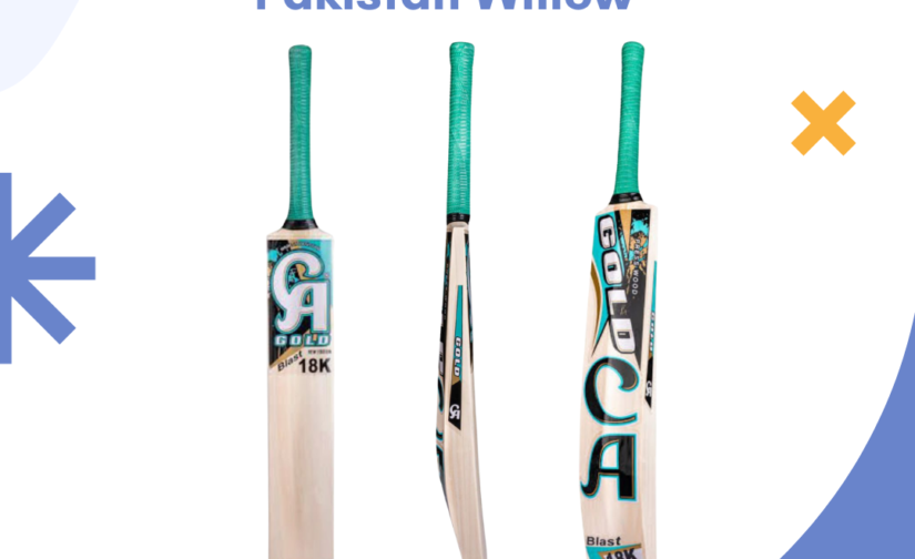 CA Gold 18000 Pakistan Willow Cricket Bat - Premium Lightweight Bat for Power and Performance