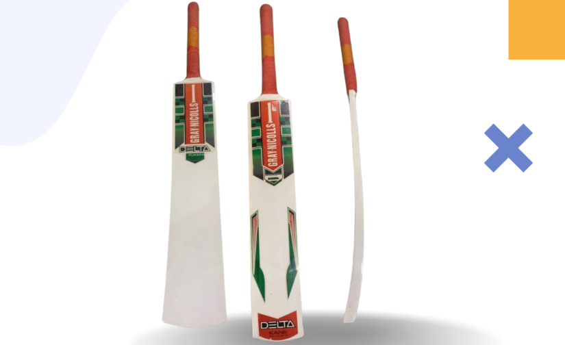 Gray Nicolls Cricket Bat - Premium Performance Bat for Power, Control, and Durability