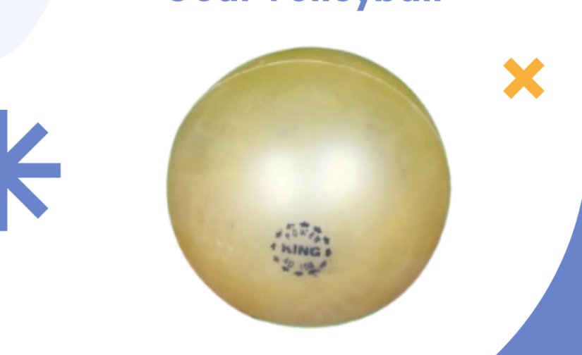 Godi Volleyball – High-Quality, Durable Outdoor & Indoor Volleyball, Professional Standard, Excellent Grip & Performance