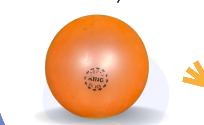 Godi Volleyball – Premium Quality, Durable Indoor & Outdoor Volleyball, Professional Standard, Enhanced Grip