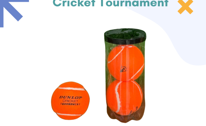 Pack of 2 Dunlop Cricket Tournament Balls | High Bounce & Durable | Ideal for Competitive Play & Training