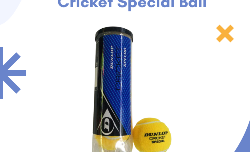 Pack of 3 Dunlop Cricket Special Balls | High Bounce & Durable | Ideal for Training & Matches
