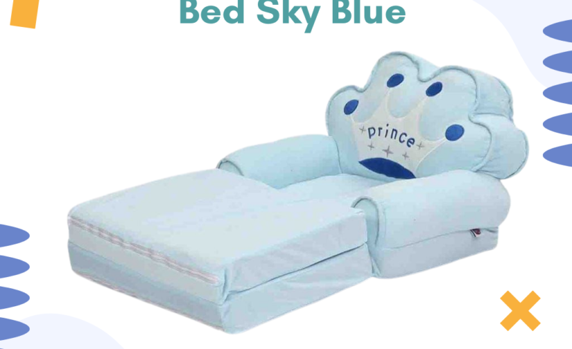 Sofa Cum Bed Sky Blue – 2-in-1 Convertible Foldable Sofa Bed with Soft Cushioning & Modern Design