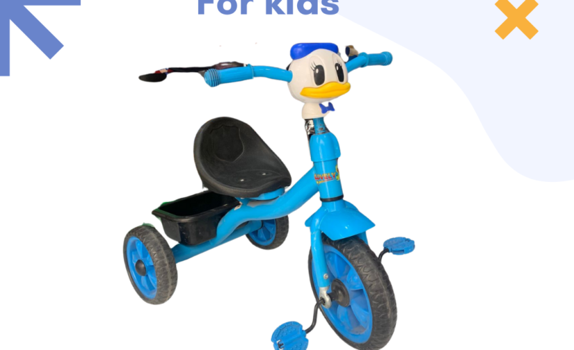 Duck Tricycle for Kids – Fun & Safe Ride-On Trike with Cute Duck Design, Comfortable Seat & Durable Wheels