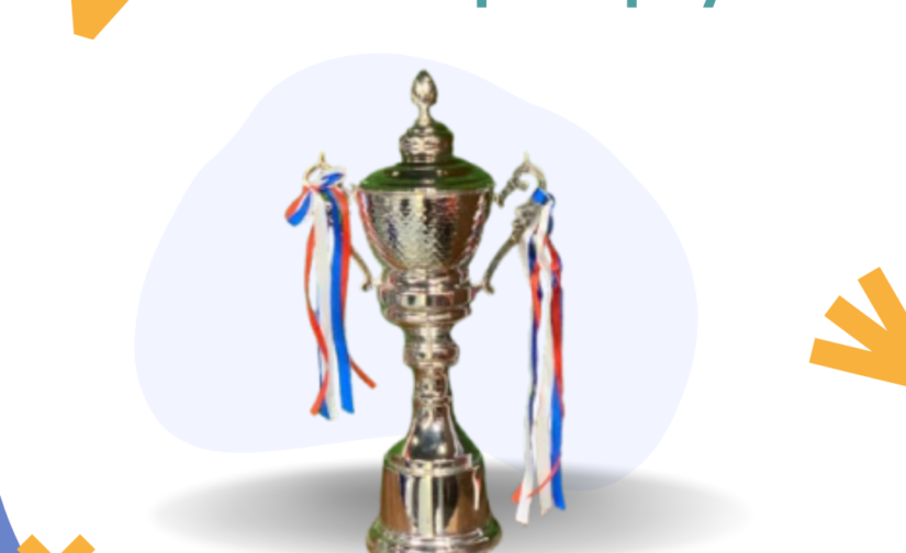 Premium Metal Cup Trophy – Elegant Championship Award for Winners